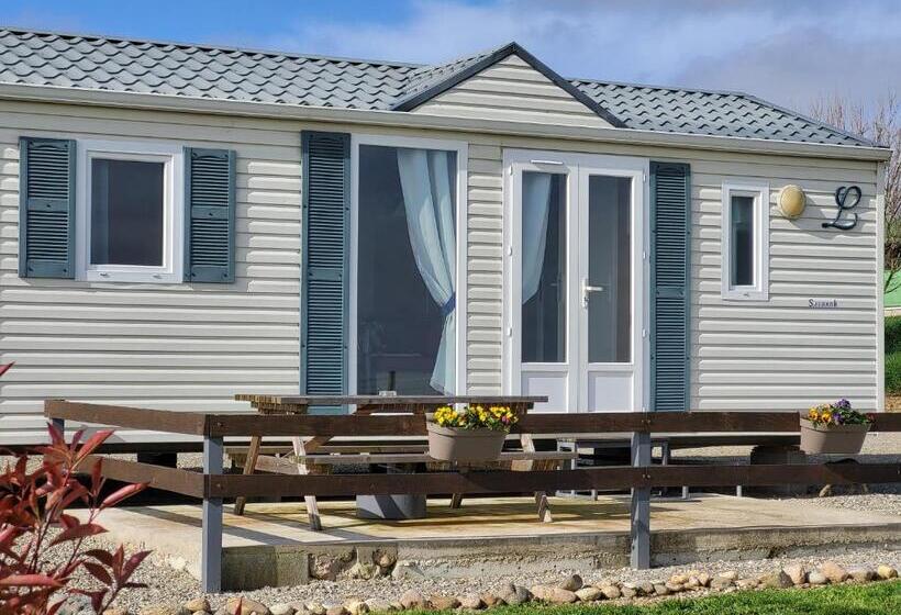 בית מלון כפרי Capayrou   La Plume