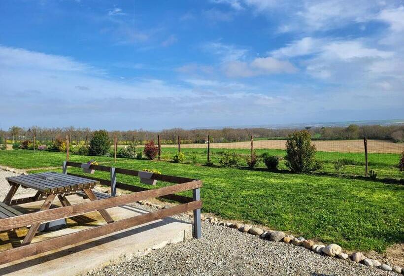 בית מלון כפרי Capayrou   La Plume