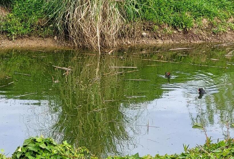 בית מלון כפרי Capayrou   La Plume