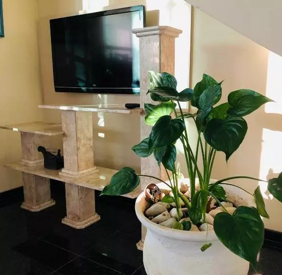 ホテル Soares Camargo