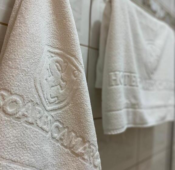 Отель Soares Camargo