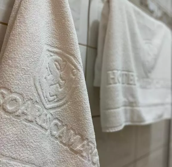 ホテル Soares Camargo