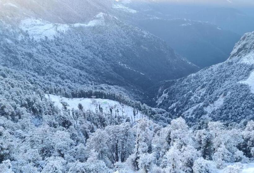 Hotel The Wild Arena