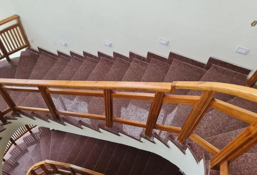 Hotel The Wild Arena