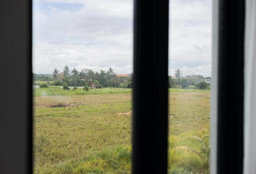 膳宿费 D`arka Guesthouse