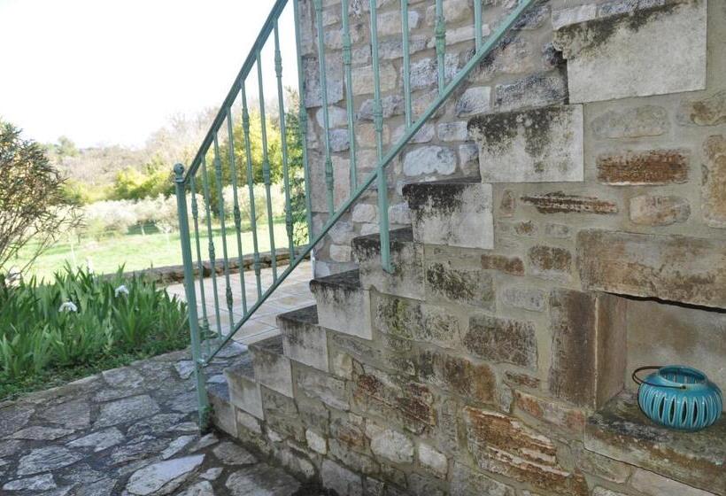 膳宿费 Terre D Oliviers