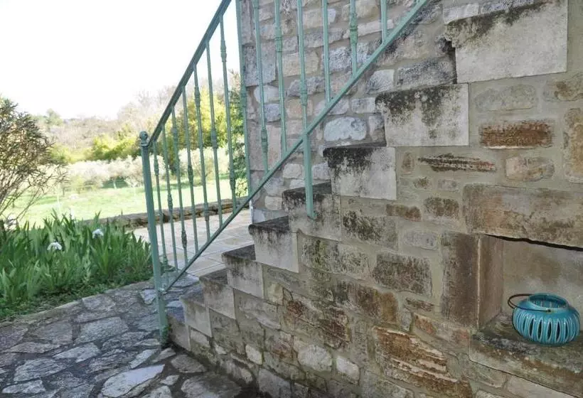 ペンション Terre D Oliviers