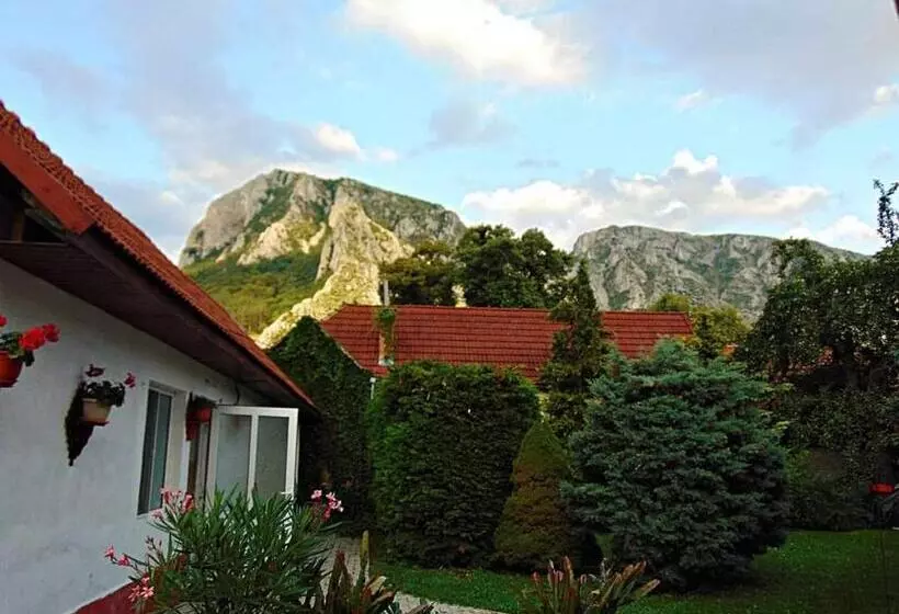 ペンション Vigh Vendégház