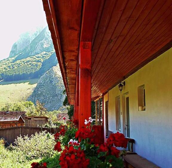 پانسیون Vigh Vendégház