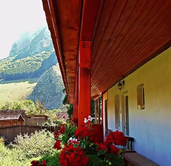 ペンション Vigh Vendégház