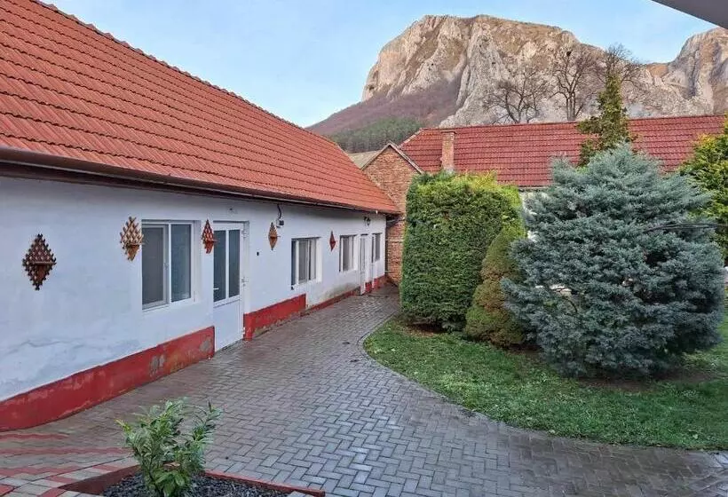 ペンション Vigh Vendégház