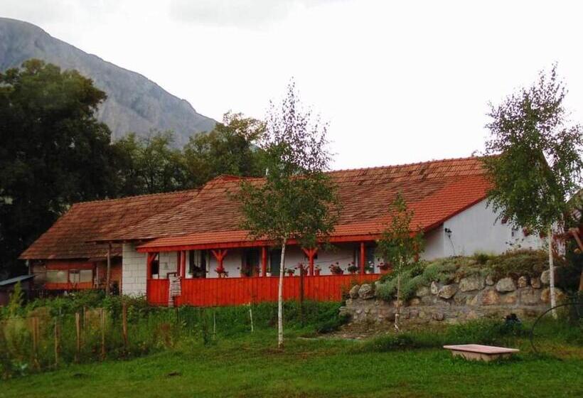 پانسیون Vigh Vendégház