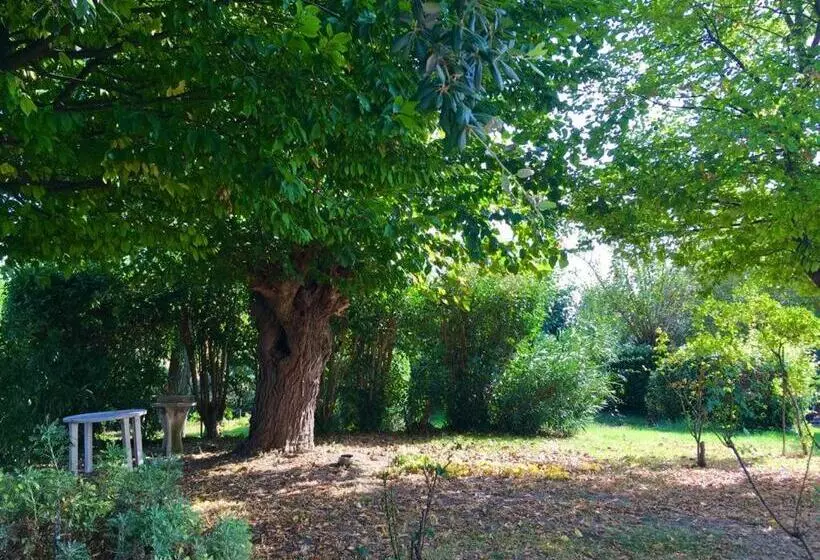 B&b Locanda Pinà   Room 3