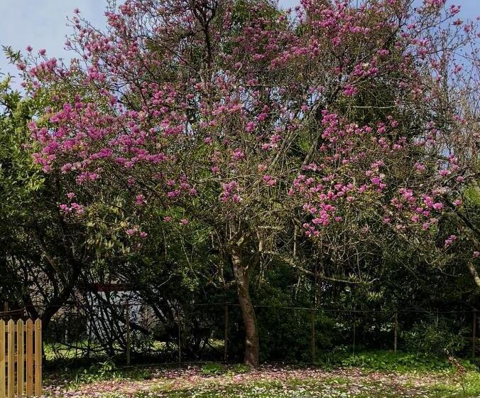 צימר Domaine La Gazaille De Camille