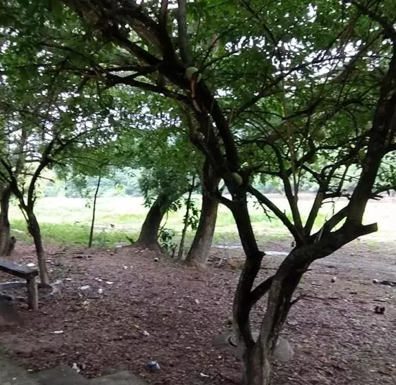 ホテル Huil Tana