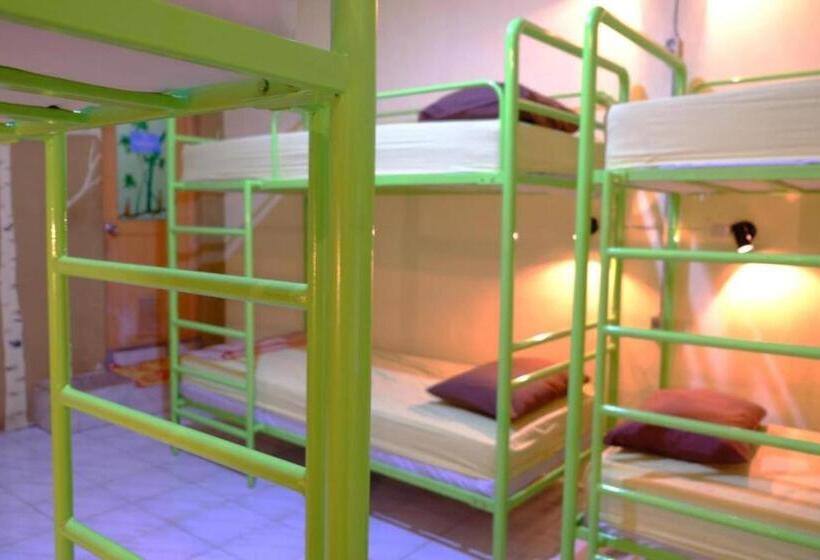 Hotel Oyo 93860 Wonosobo Bunkbed
