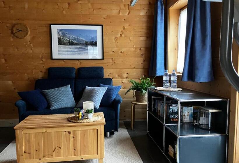 Bed & Breakfast Chalet Alpina Gyger