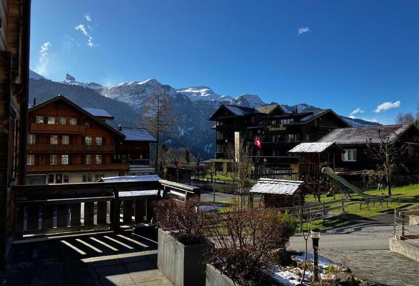 Bed & Breakfast Chalet Alpina Gyger