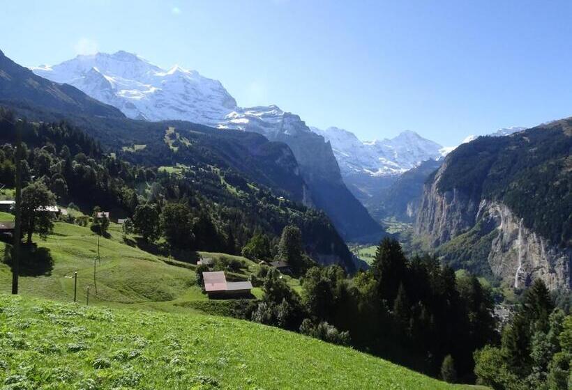 Bed & Breakfast Chalet Alpina Gyger