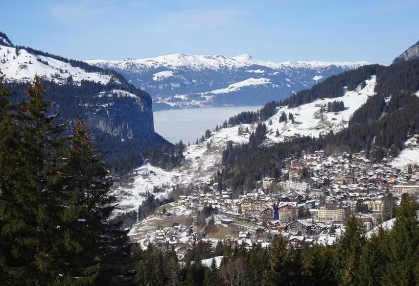 Aamiaismajoitus (B&B) Chalet Alpina Gyger