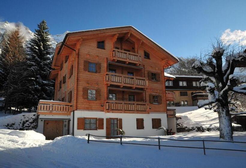 Bed & Breakfast Chalet Alpina Gyger