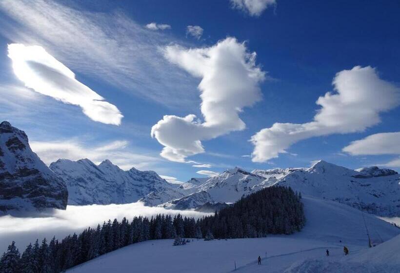 Bed & Breakfast Chalet Alpina Gyger