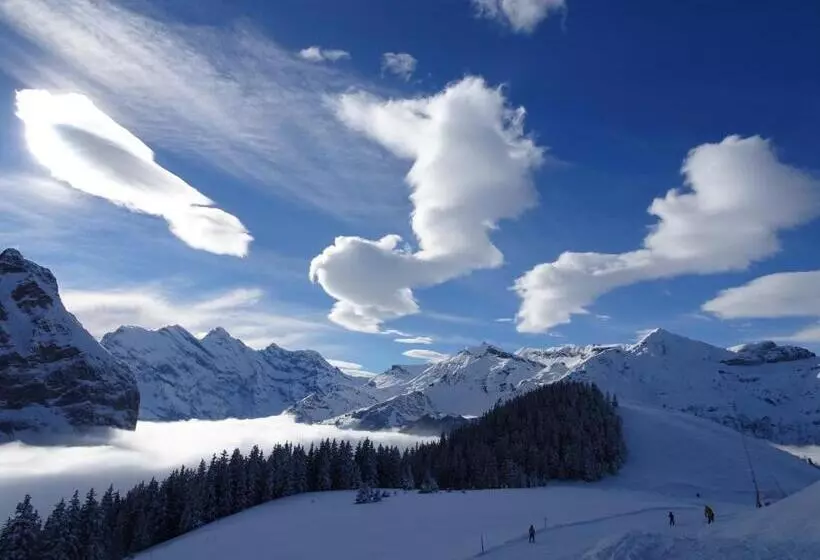 Aamiaismajoitus (B&B) Chalet Alpina Gyger