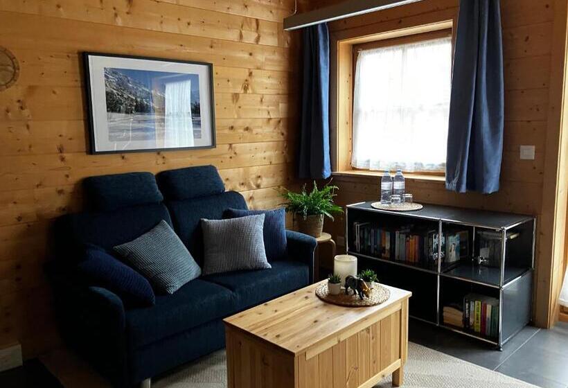 Bed & Breakfast Chalet Alpina Gyger