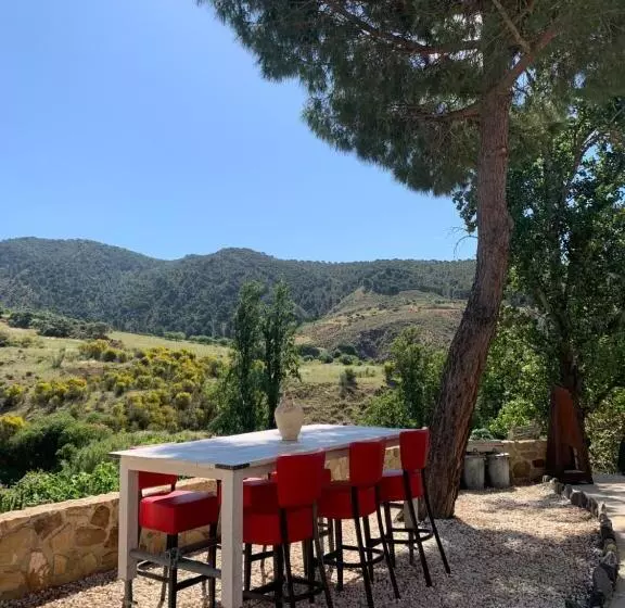 Aamiaismajoitus (B&B) El Bufon De La Corte