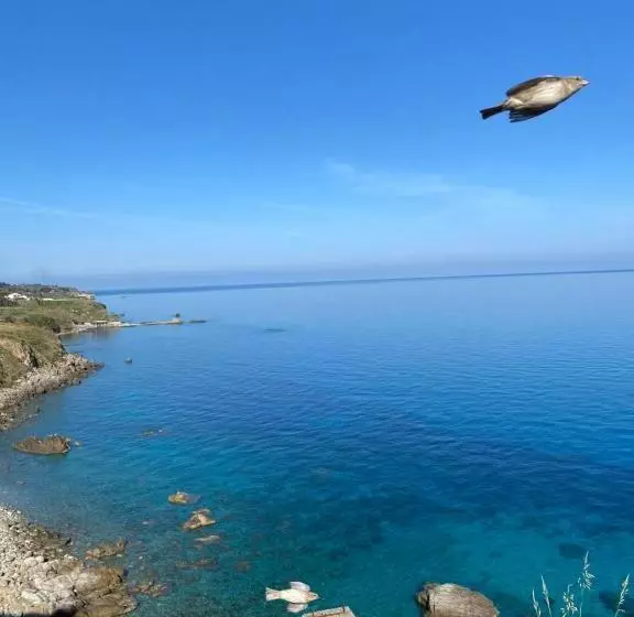 Aamiaismajoitus (B&B) Elegant Dei Rooms