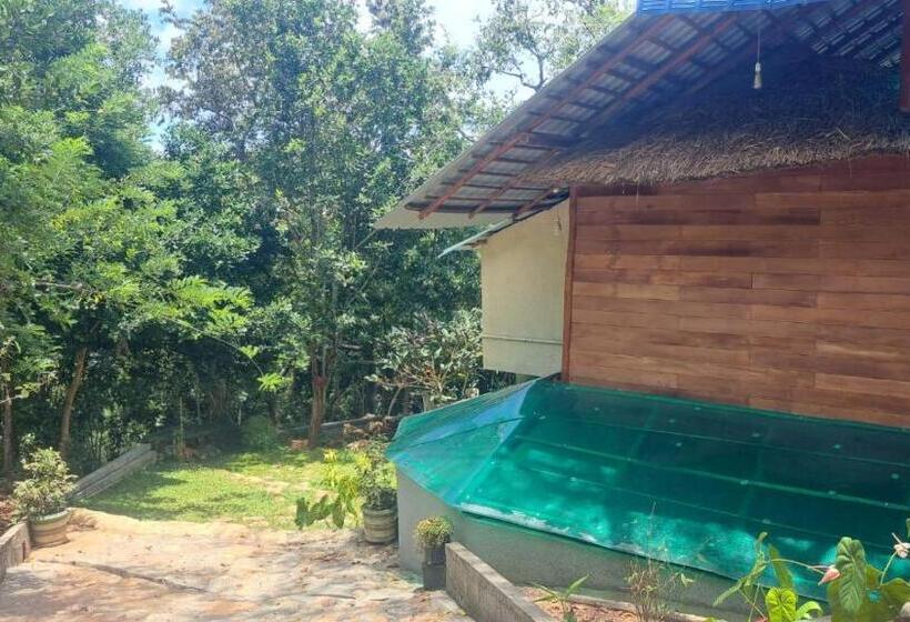 Szálloda Aybish Resort