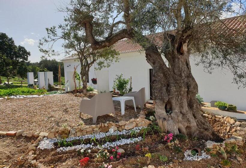 هتل Monte Das Açoteias Agroturismo