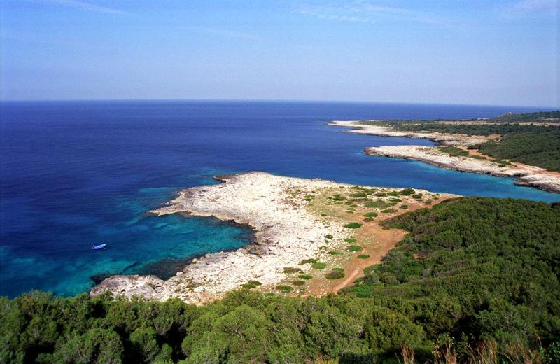 Hotelli Spiaggia Conchiglie