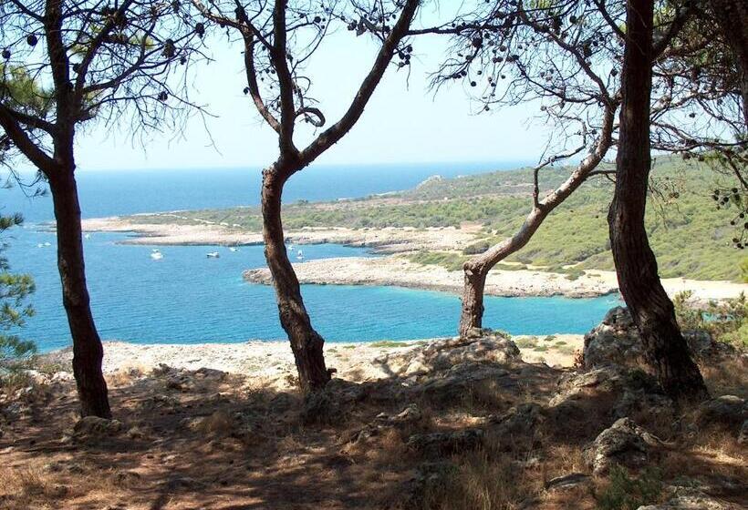 Hotelli Spiaggia Conchiglie