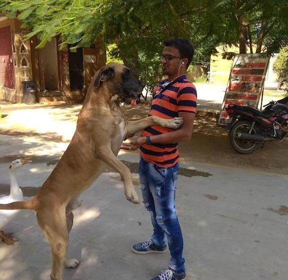 酒店 Swarg Maru Gam Health Resort