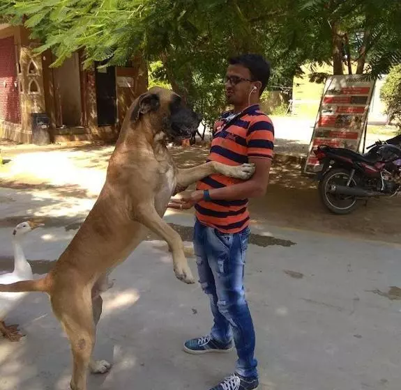 ホテル Swarg Maru Gam Health Resort