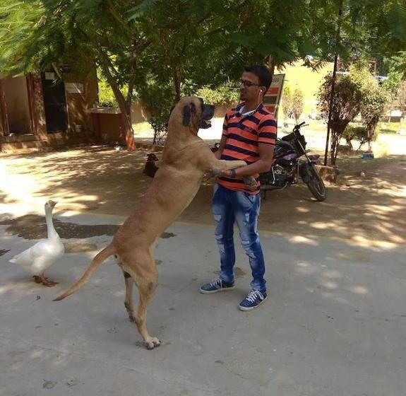 酒店 Swarg Maru Gam Health Resort