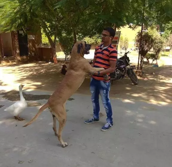 ホテル Swarg Maru Gam Health Resort
