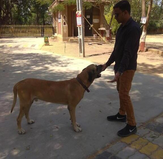 酒店 Swarg Maru Gam Health Resort