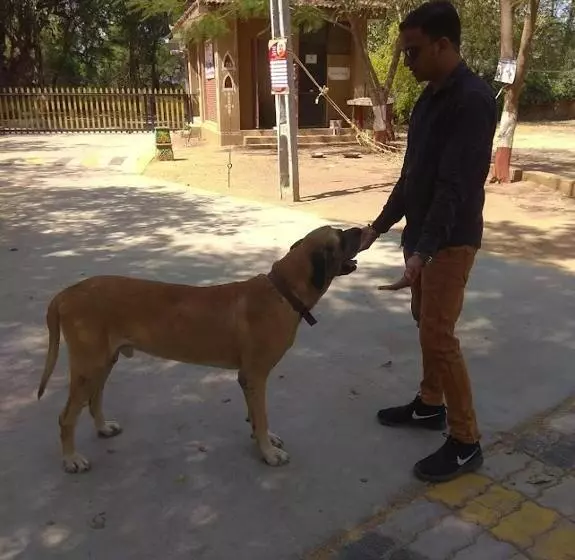 ホテル Swarg Maru Gam Health Resort