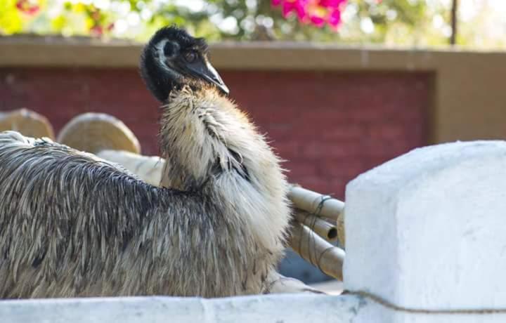 酒店 Swarg Maru Gam Health Resort