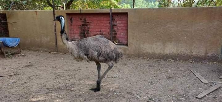 酒店 Swarg Maru Gam Health Resort