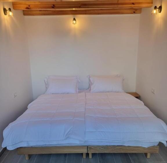 پانسیون Gogo Moustache Guest House