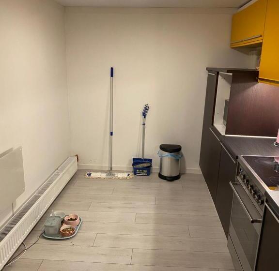 הוסטל Herregårdshuset As