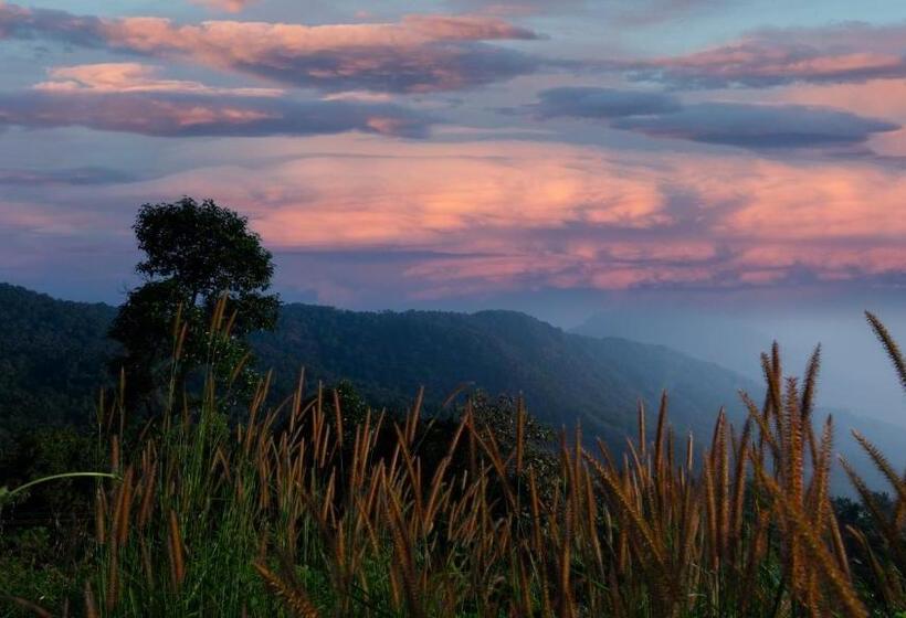 Hotel Jungle Drive Resort Vayalada