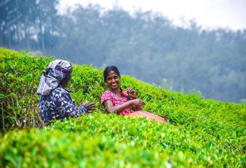 Hotel Woodnest Sithula Garden Resort