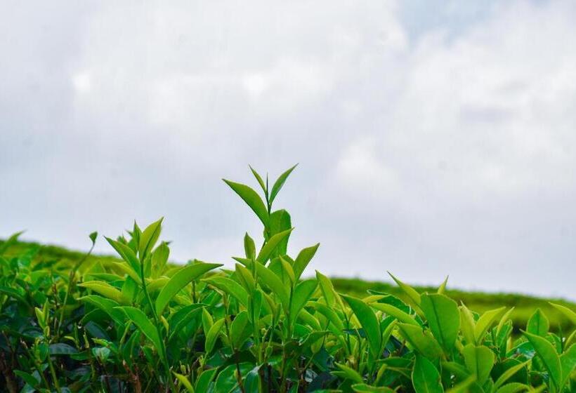 Hotel Woodnest Sithula Garden Resort