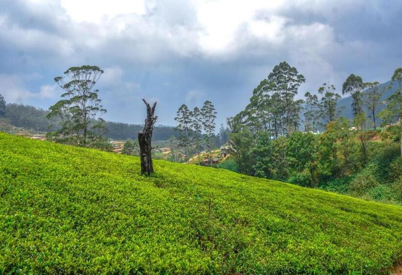 Hotel Woodnest Sithula Garden Resort