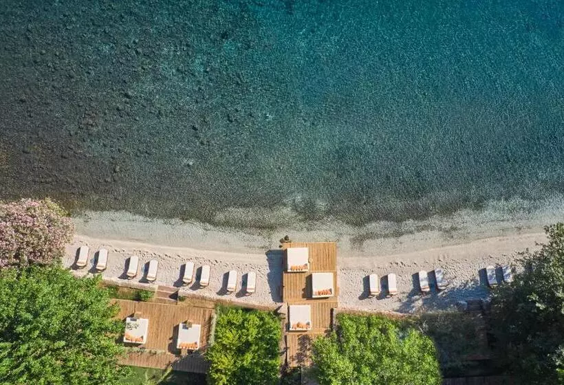 ホテル Yazz Collective