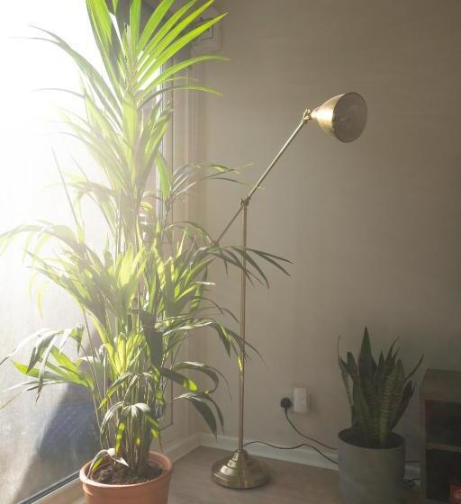 膳宿费 Studio Cabin In Belfast